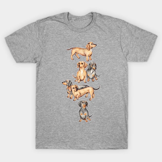 Adorable Dachshunds T-Shirt by micklyn